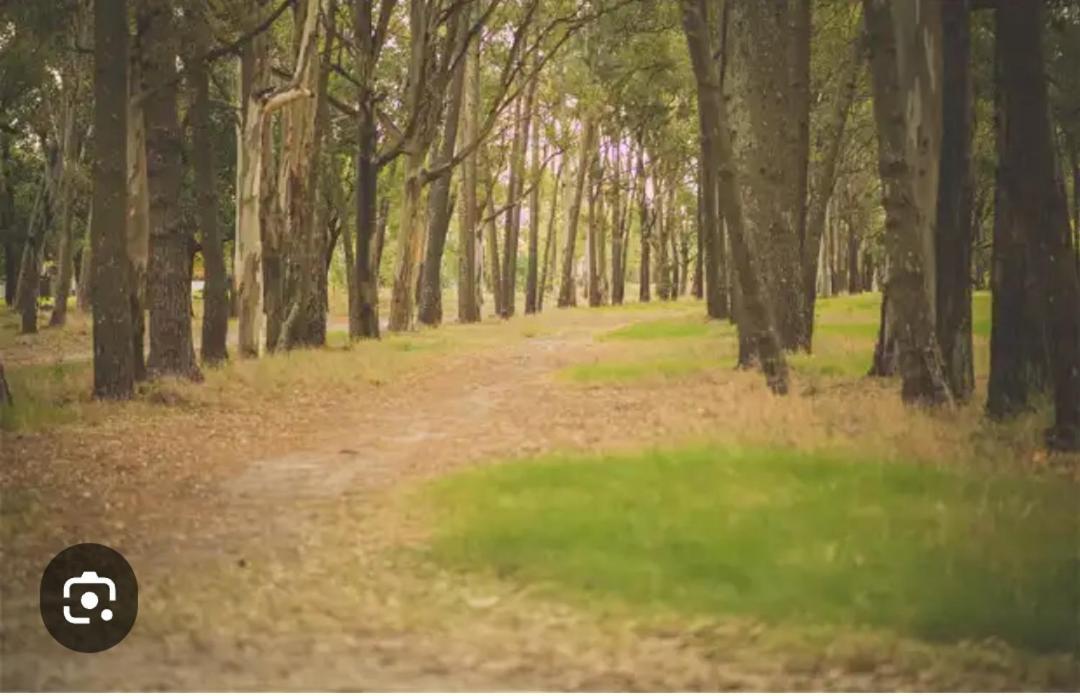 Playa, Bosque Y Lago Montevideo Dış mekan fotoğraf